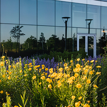 sustainable landscaping design at air products' global headquarters in lehigh valley, pennsylvania